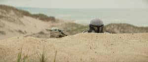 Plagát Star Wars: Mandalorian a Grogu — sci-fi dobrodružstvo s Mandaloranom a Grogu